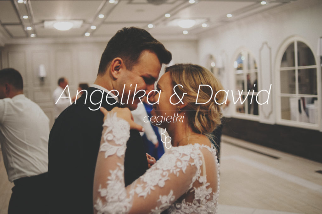 Angelika & Dawid | cegiełki